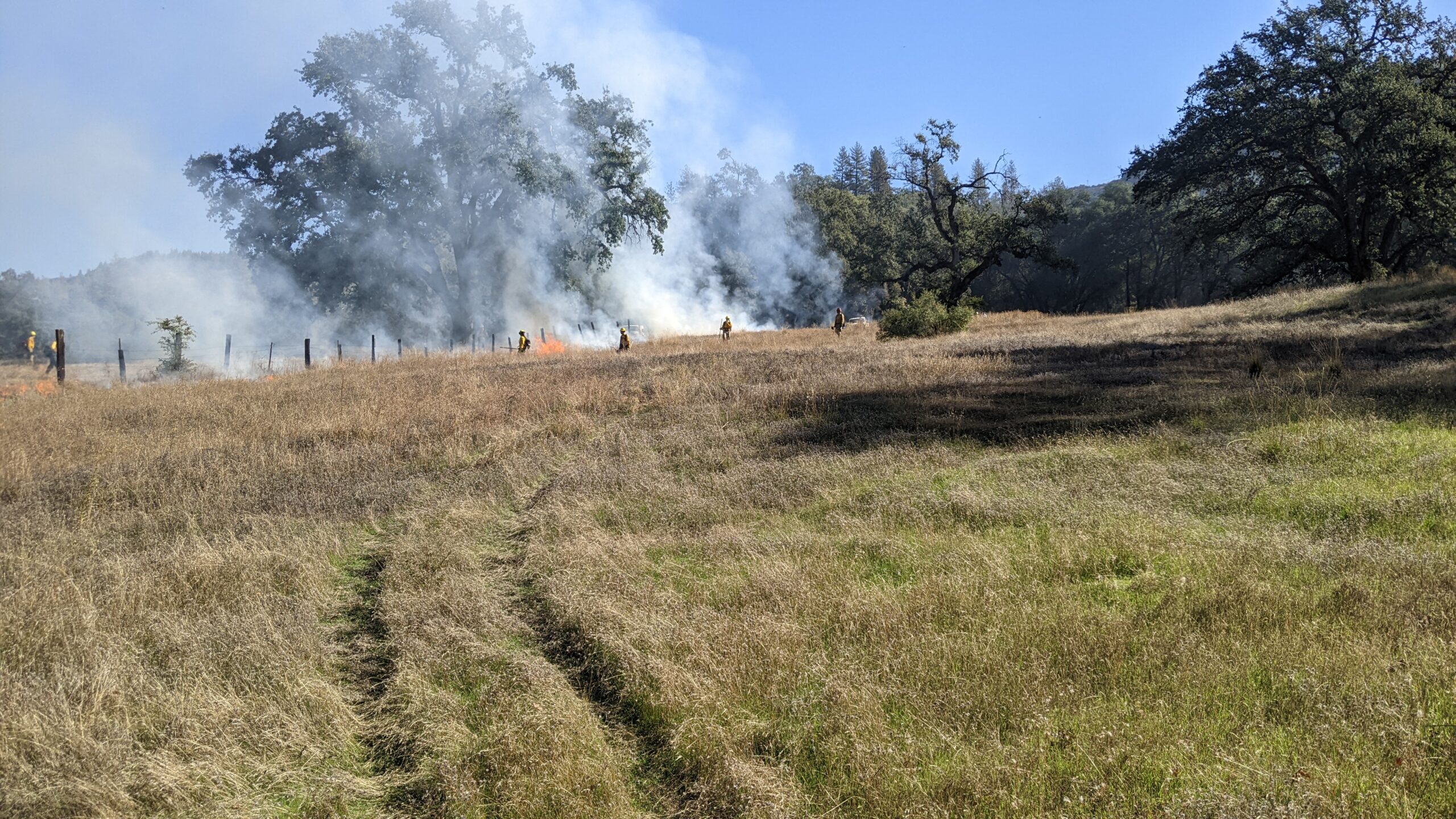 Plumas Underburn Cooperative RX Fire Regulation in Plumas County